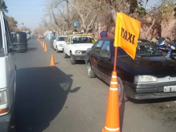 Un grupo de taxistas trabaja por el medio ambiente y la seguridad vial Un grupo de taxistas trabaja por el medio ambiente y la seguridad vial