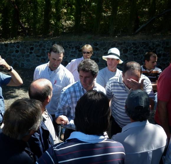 Batería de visitas: Ajos y 2 bodegas Batería de visitas: Ajos y 2 bodegas