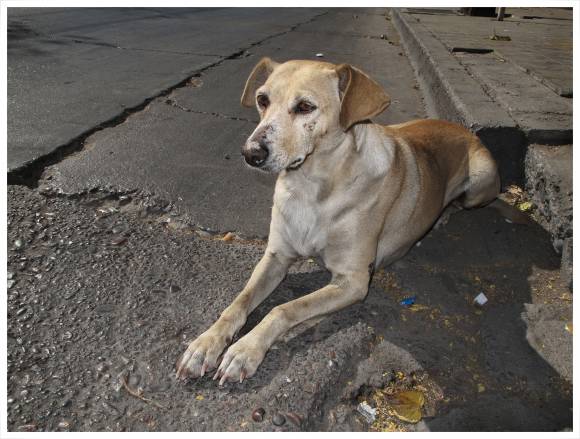 El espacio de aca El espacio de aca