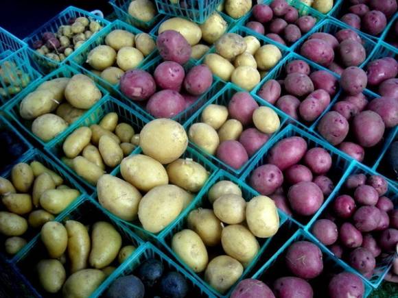 Papas del mundo Papas del mundo