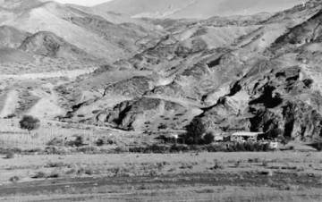 El pequeño sobreviviente El pequeño sobreviviente