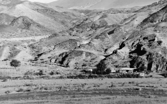 El pequeño sobreviviente El pequeño sobreviviente