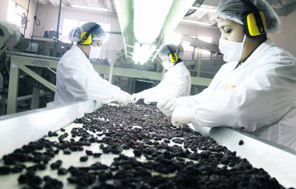 El rayo láser que selecciona pasas El rayo láser que selecciona pasas