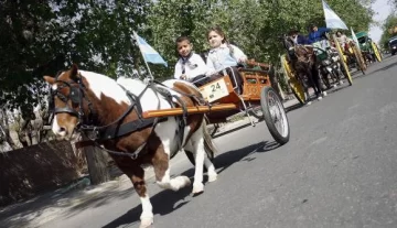 Los animales estrella de la Atada de Carros Antiguos Los animales estrella de la Atada de Carros Antiguos