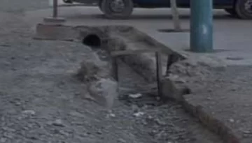 Vecinos de Villa Krause reclaman por la falta de riego en árboles Vecinos de Villa Krause reclaman por la falta de riego en árboles