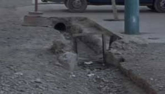 Vecinos de Villa Krause reclaman por la falta de riego en árboles Vecinos de Villa Krause reclaman por la falta de riego en árboles