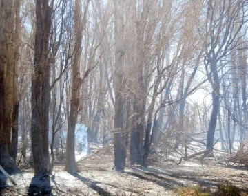 Bomberos: habrá un cuartel en Iglesia Bomberos: habrá un cuartel en Iglesia