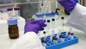 Podrán neutralizar el HIV Podrán neutralizar el HIV