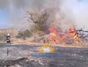 Los dueños de Guañizuil pidieron una reunión con el gobierno Los dueños de Guañizuil pidieron una reunión con el gobierno