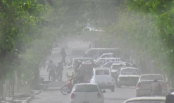 Las cenizas disminuyeron un 83% de la visibilidad Las cenizas disminuyeron un 83% de la visibilidad