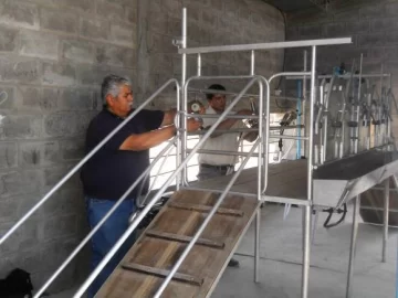 El 90% de los chivos de San Juan se vende en “negro” El 90% de los chivos de San Juan se vende en “negro”