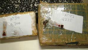 La AFIP secuestró más de 89 kilos de marihuana en Formosa La AFIP secuestró más de 89 kilos de marihuana en Formosa