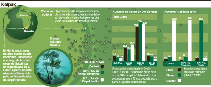 Utilizan algas marinas como fitomejoradores en parrales Utilizan algas marinas como fitomejoradores en parrales