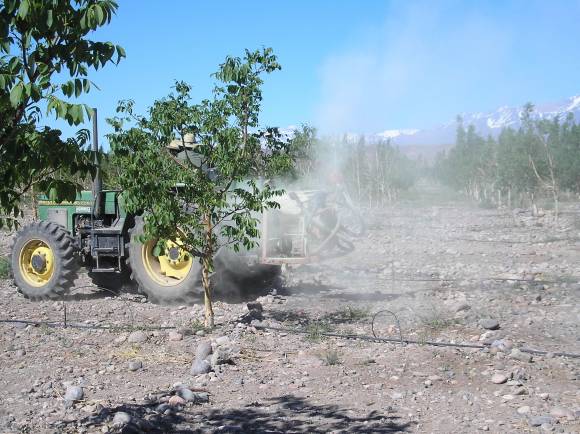 San Juan exportó un sistema de polinización artificial a España San Juan exportó un sistema de polinización artificial a España