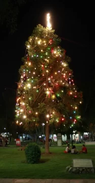 Luces de Navidad a la vista de todos Luces de Navidad a la vista de todos