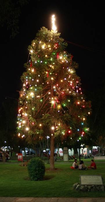 Luces de Navidad a la vista de todos Luces de Navidad a la vista de todos