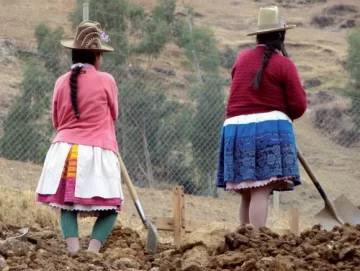 El modelo de los inversores El modelo de los inversores