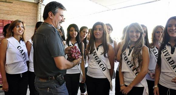 Una clase sobre el mercado de la uva Una clase sobre el mercado de la uva