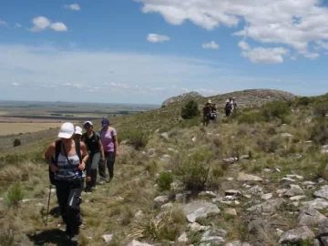Una propuesta a la luz de la luna Una propuesta a la luz de la luna