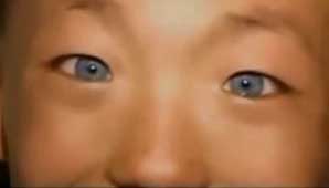 Vista de gato Vista de gato