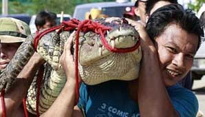 La devoró un cocodrilo La devoró un cocodrilo