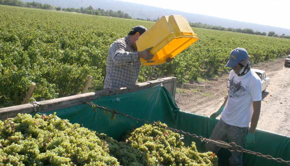 Mosto: ampliarán el uso del subsidio de los $0,15 Mosto: ampliarán el uso del subsidio de los $0,15