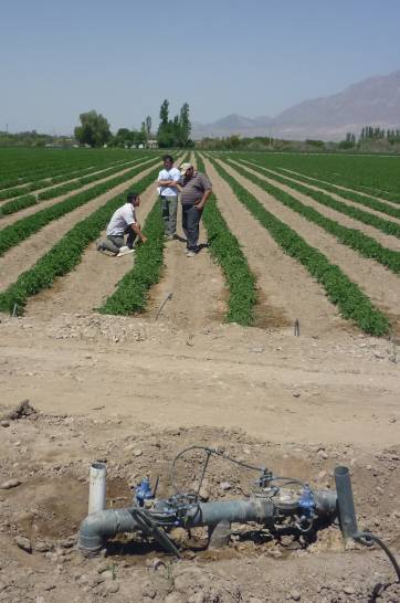 El fenómeno La Niña y la sequía están perjudicando la agricultura El fenómeno La Niña y la sequía están perjudicando la agricultura