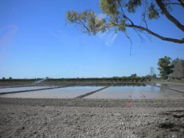 Imágenes locales que muestran la agricultura tal cual Imágenes locales que muestran la agricultura tal cual