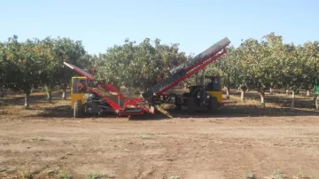 San Juan produce y comercializa U$S3,5 millones anuales de pistacho San Juan produce y comercializa U$S3,5 millones anuales de pistacho