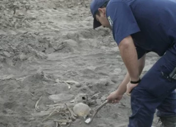 Hallaron un esqueleto Hallaron un esqueleto