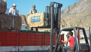 Salen a la venta 500 toneladas de basura Salen a la venta 500 toneladas de basura