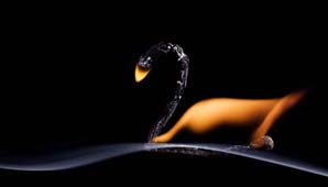 Arte con fuego Arte con fuego