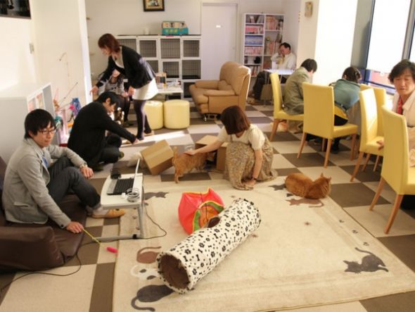 Mascotas por hora Mascotas por hora