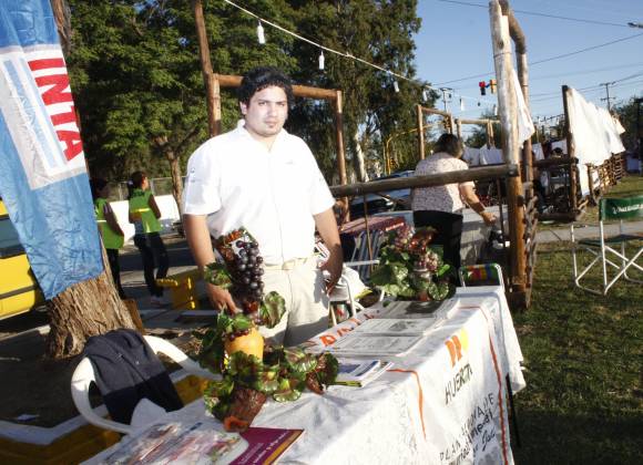 Una Semana Santa con juegos y shows Una Semana Santa con juegos y shows