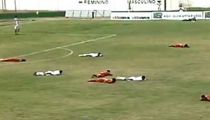 Invasión de abejas Invasión de abejas