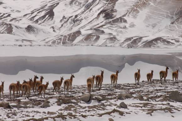 Operativo invierno: un mes de reservas de todo Operativo invierno: un mes de reservas de todo