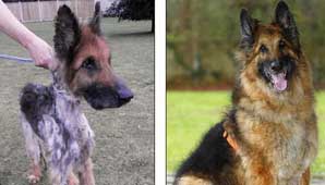 Casi muere de hambre Casi muere de hambre