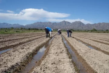 Comenzó a nevar en cordillera, auguran el fin de la sequía Comenzó a nevar en cordillera, auguran el fin de la sequía