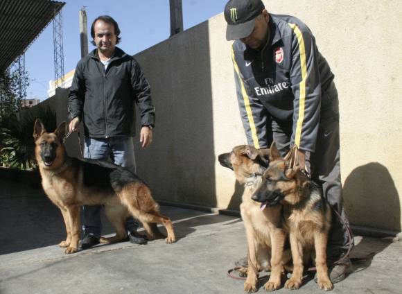 Los perros guardianes son cada vez más solicitados Los perros guardianes son cada vez más solicitados