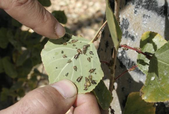 Melisa I recibió el auto 0km que le regalaron Melisa I recibió el auto 0km que le regalaron