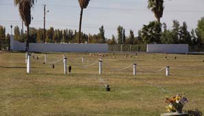 Terminan la parcela especial para bebés muertos antes de nacer Terminan la parcela especial para bebés muertos antes de nacer