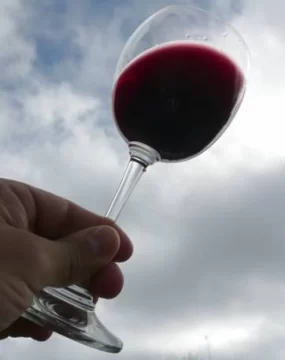 Syrah con estirpe propia Syrah con estirpe propia