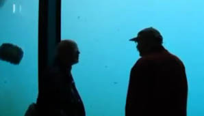 Pánico en un zoológico Pánico en un zoológico