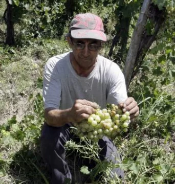 Hay 1.250 obreros inscriptos para la ayuda por granizo Hay 1.250 obreros inscriptos para la ayuda por granizo