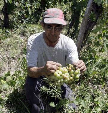 Hay 1.250 obreros inscriptos para la ayuda por granizo Hay 1.250 obreros inscriptos para la ayuda por granizo