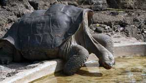 Un museo para “George” Un museo para “George”