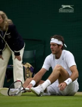 Del Potro no pudo con el español Ferrer Del Potro no pudo con el español Ferrer