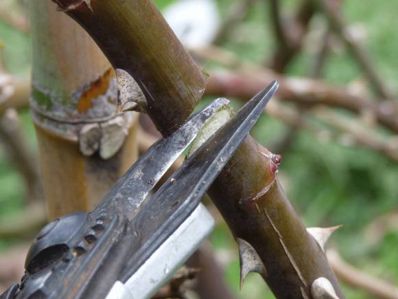 Vamos a un corte Vamos a un corte