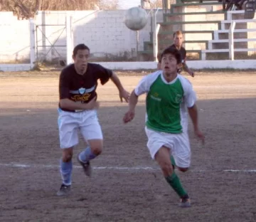 Árbol Verde bajó a Del Bono Árbol Verde bajó a Del Bono