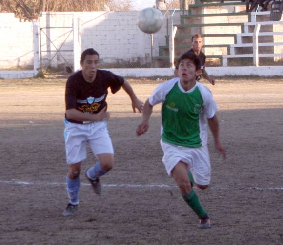 Árbol Verde bajó a Del Bono Árbol Verde bajó a Del Bono